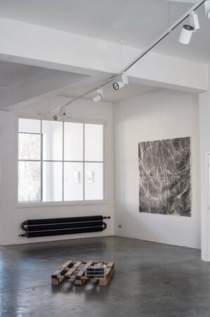 denitsa todorova, ada van hoorebeke, stone and a glass, tongues of fire, dmw gallery