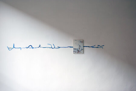 wannes lecompte, dmw gallery, borrowed forms