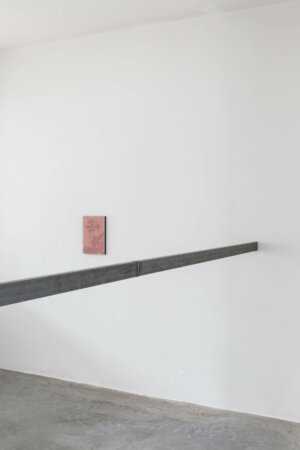 dries segers, bram de jonghe, dmw gallery, to take leave