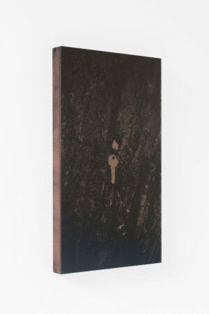 dries segers, dmw gallery, to take leave