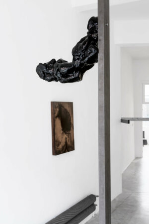 dries segers, bram de jonghe, dmw gallery, to take leave