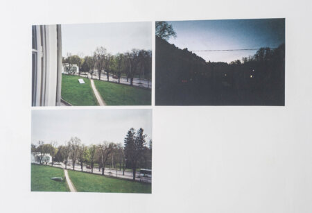 hannelore van dijck, koba de meutter, dmw gallery
