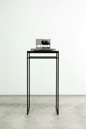 caroline van den eynden, dmw gallery