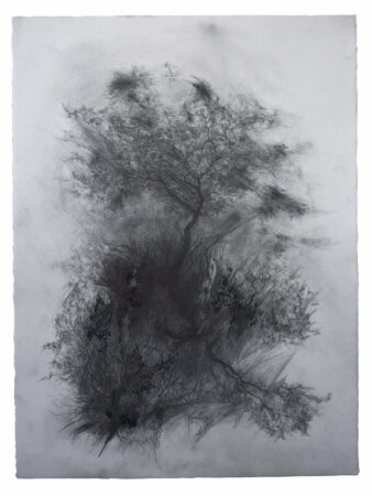 joris vanpoucke, dmw gallery