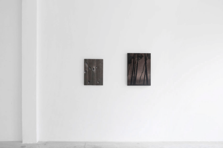 dries segers, bram de jonghe, dmw gallery, to take leave