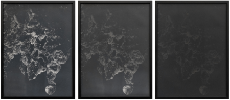 dries segers, fungi, dmw gallery