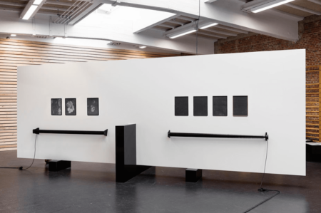 dries segers, fungi, poppositions, dmw gallery