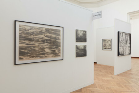 denitsa todorova, dmw gallery, joris vanpoucke, art on paper