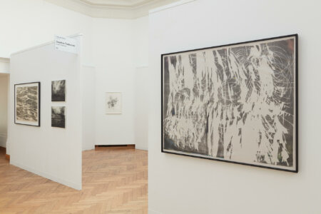 denitsa todorova, dmw gallery, joris vanpoucke, art on paper