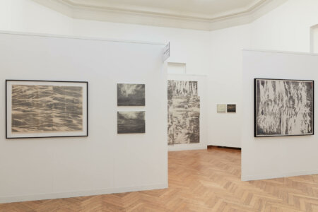 DMW gallery, ART ON PAPER, DENITSA TODOROVA, JORIS VANPOUCKE