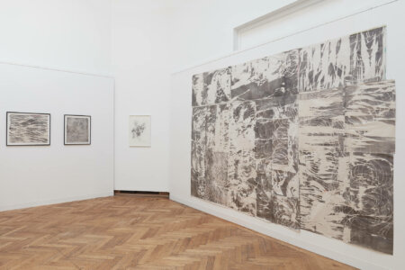 denitsa todorova, dmw gallery, joris vanpoucke, art on paper