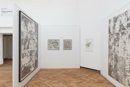 denitsa todorova, dmw gallery, joris vanpoucke, art on paper