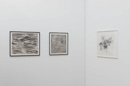 denitsa todorova, dmw gallery, joris vanpoucke, art on paper