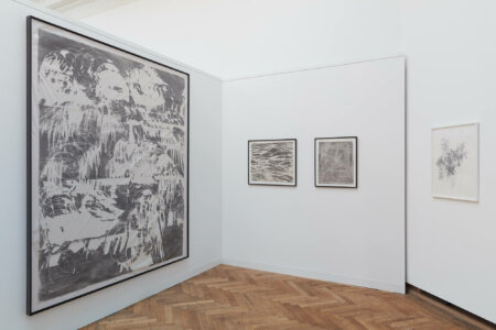 denitsa todorova, dmw gallery, joris vanpoucke, art on paper
