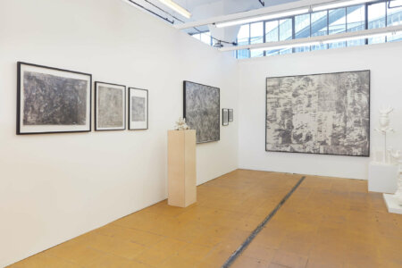 denitsa todorova, dmw gallery, art rotterdam