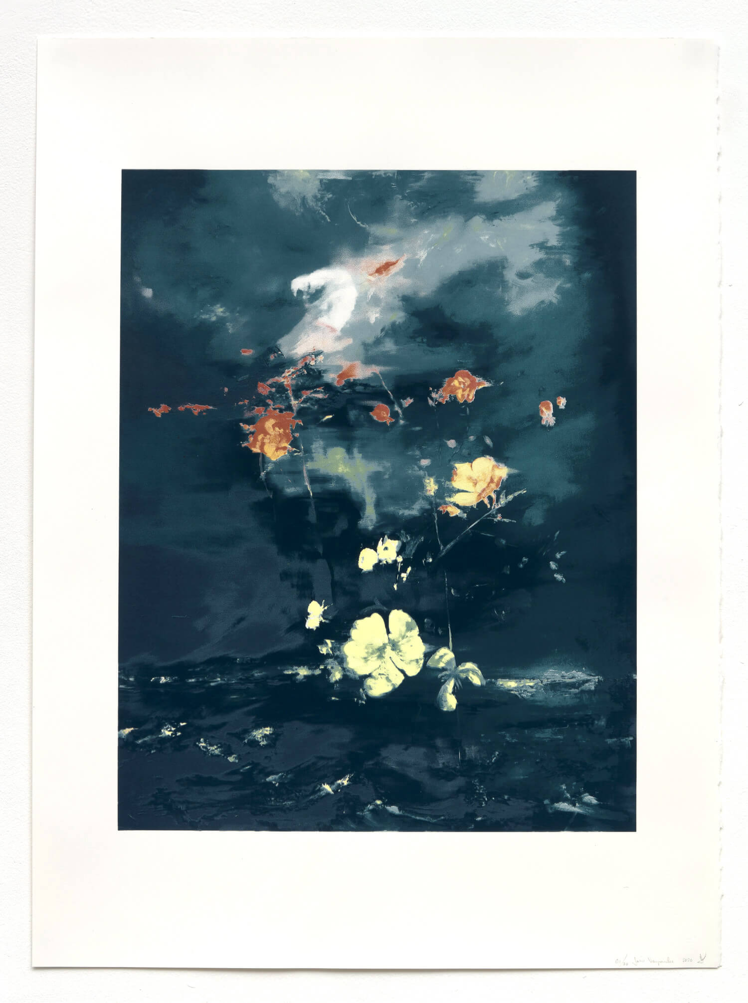 joris vanpoucke, copper sky, silkscreen print, dmw gallery