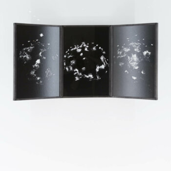 dries segers, when the fire, photograph, dmw gallery
