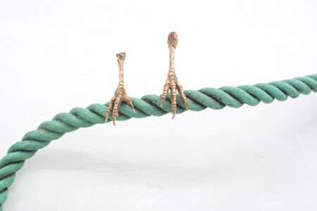 lure me in, exhibition, emilie terlinden, lucie lanzini, dmw gallery