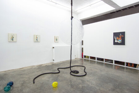 lure me in, exhibition, emilie terlinden, lucie lanzini, dmw gallery