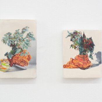 lure me in, exhibition, emilie terlinden, lucie lanzini, dmw gallery