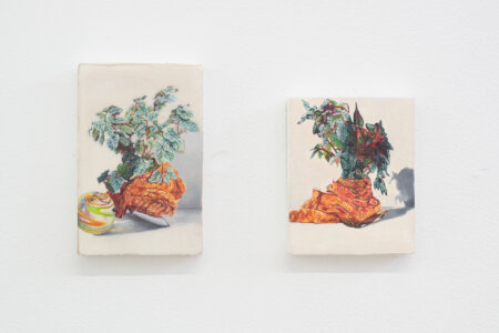 lure me in, exhibition, emilie terlinden, lucie lanzini, dmw gallery