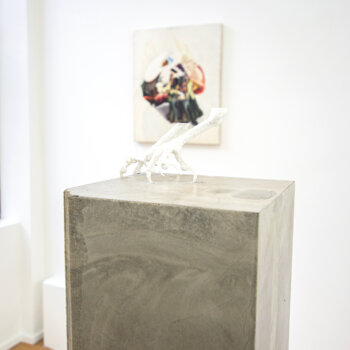lure me in, exhibition, emilie terlinden, lucie lanzini, dmw gallery