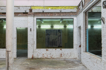 ellen pil, willem boel, dmw gallery, your text here, exhibition