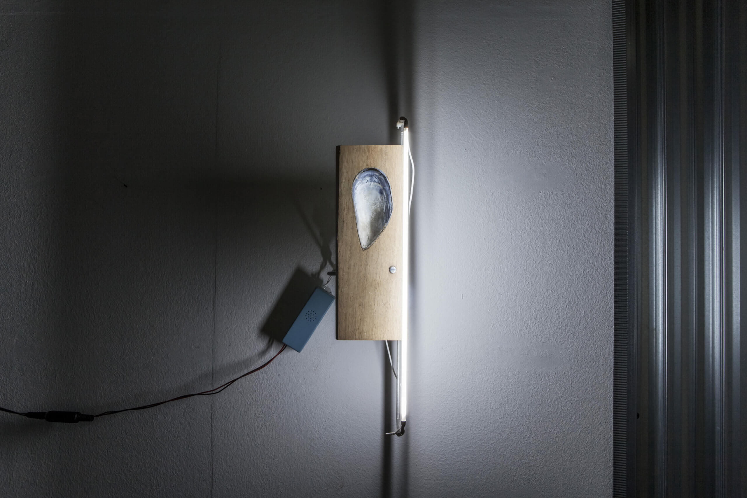 bram de jonghe, dmw gallery, artist, exhibition, installation view, sculpture