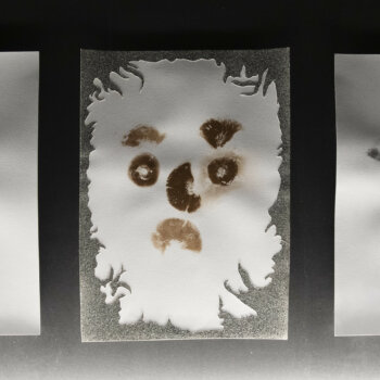 fia cielen, dmw gallery, artefact, stuk leuven, installation view