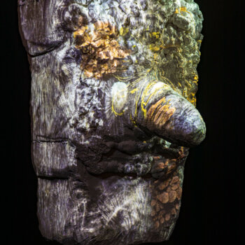 fia cielen, dmw gallery, artefact, stuk leuven, installation view