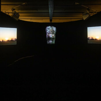fia cielen, dmw gallery, artefact, stuk leuven, installation view