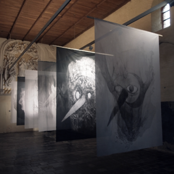 fia cielen, dmw gallery