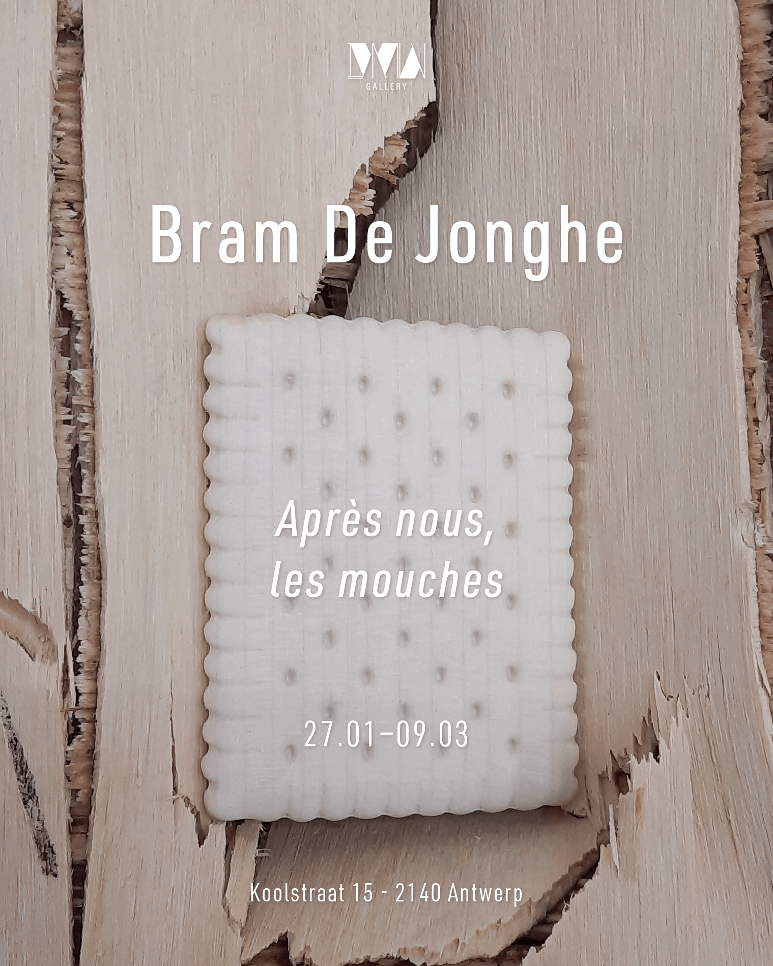 bram de jonghe, dmw gallery, exhibition, apres nous les mouches