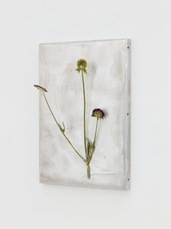 dmw gallery, bram de jonghe, exhibition, apres nous les mouches, sculpture, we document art