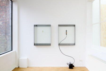 dmw gallery, bram de jonghe, exhibition, apres nous les mouches, sculpture, we document art