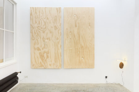 dmw gallery, bram de jonghe, exhibition, apres nous les mouches, sculpture, we document art