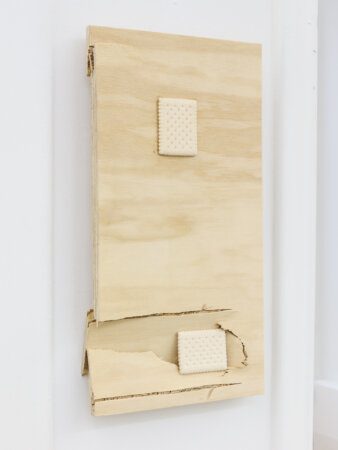 dmw gallery, bram de jonghe, exhibition, apres nous les mouches, sculpture, we document art