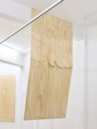 dmw gallery, bram de jonghe, exhibition, apres nous les mouches, sculpture, we document art