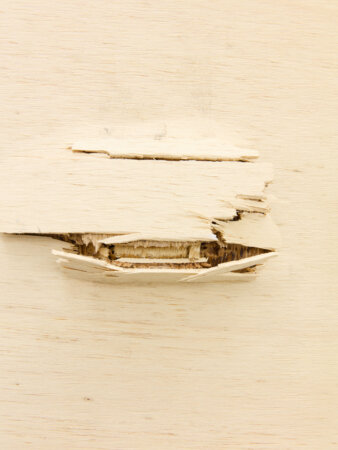 dmw gallery, bram de jonghe, exhibition, apres nous les mouches, sculpture, we document art