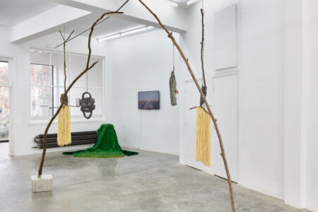 spectral harvest, julie de kezel, fia cielen, dmw gallery, exhibition