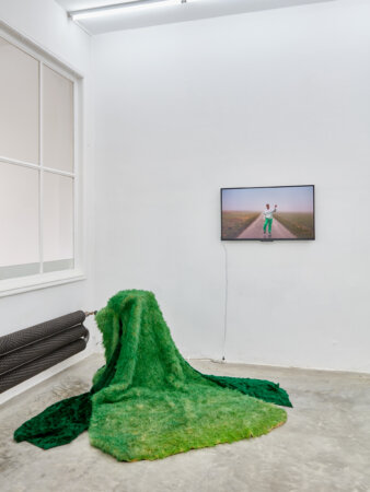 spectral harvest, julie de kezel, fia cielen, dmw gallery, exhibition