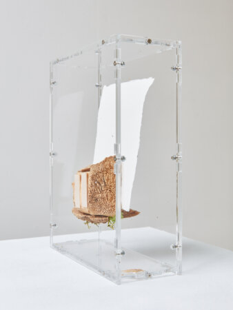 spectral harvest, julie de kezel, fia cielen, dmw gallery, exhibition