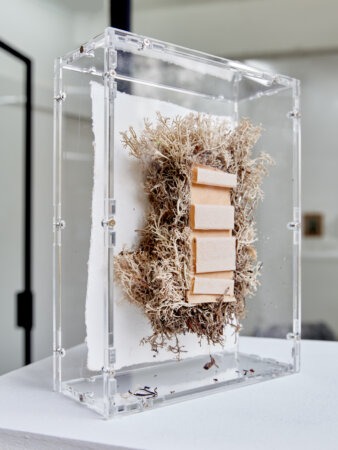 spectral harvest, julie de kezel, fia cielen, dmw gallery, exhibition