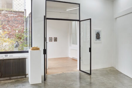 spectral harvest, julie de kezel, fia cielen, dmw gallery, exhibition