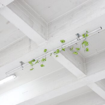 Benny Van den Meulengracht-Vrancx, DMW Gallery, artist