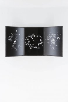 dries segers, when the fire, photograph, dmw gallery
