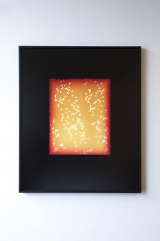 dries segers, photography, dmw gallery