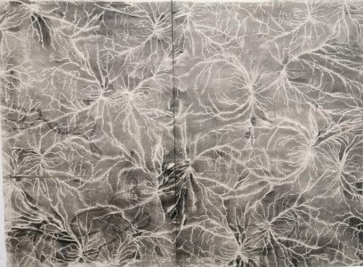 denitsa todorova, dmw gallery, tideway, drawing, graphite on paper