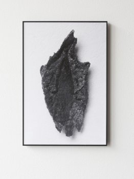 dries segers, dmw gallery, seed, edition, photography