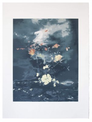 joris vanpoucke, dmw gallery, copper sky, mare, silkscreen